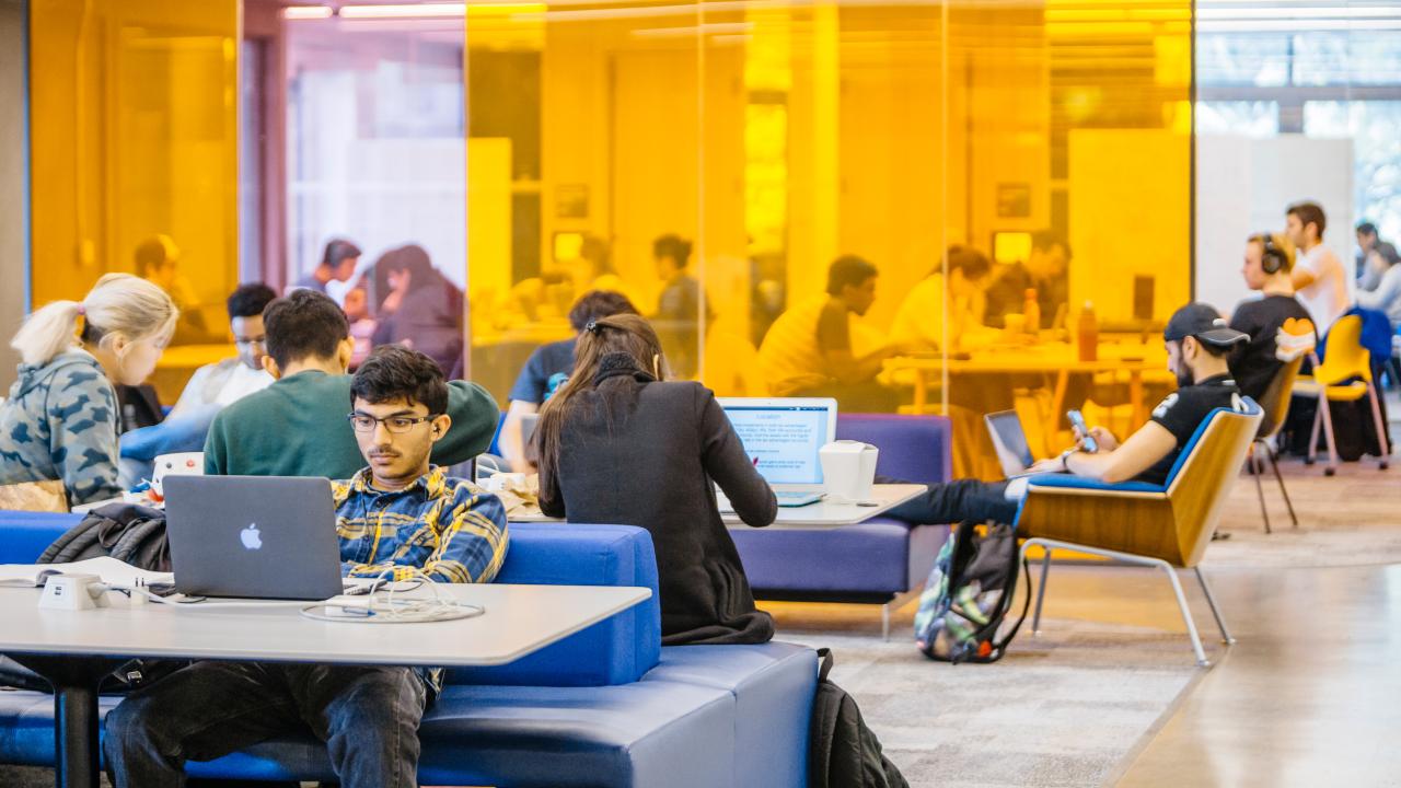 Students immersed in studying  