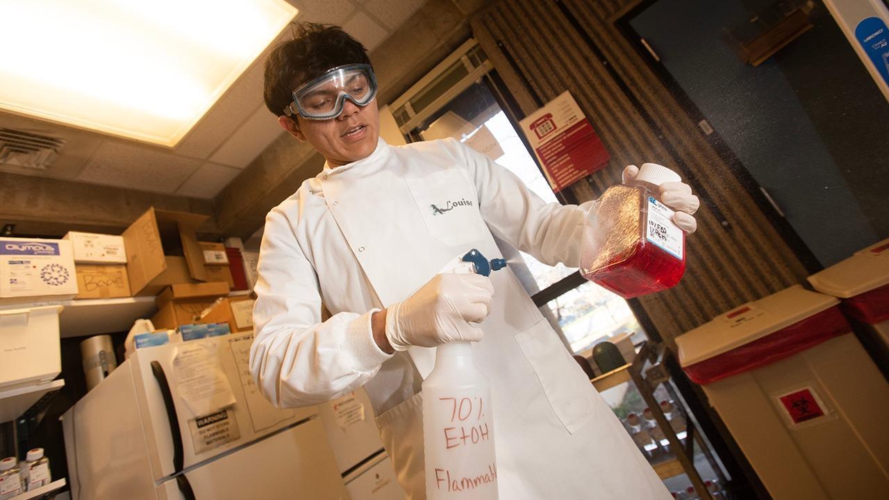 Undergraduate researcher wears safety goggles and gloves pours red liquid into a spray bottle labeled “70% EtOH Flammable” inside a laboratory workspace with shelves and equipment in the background.