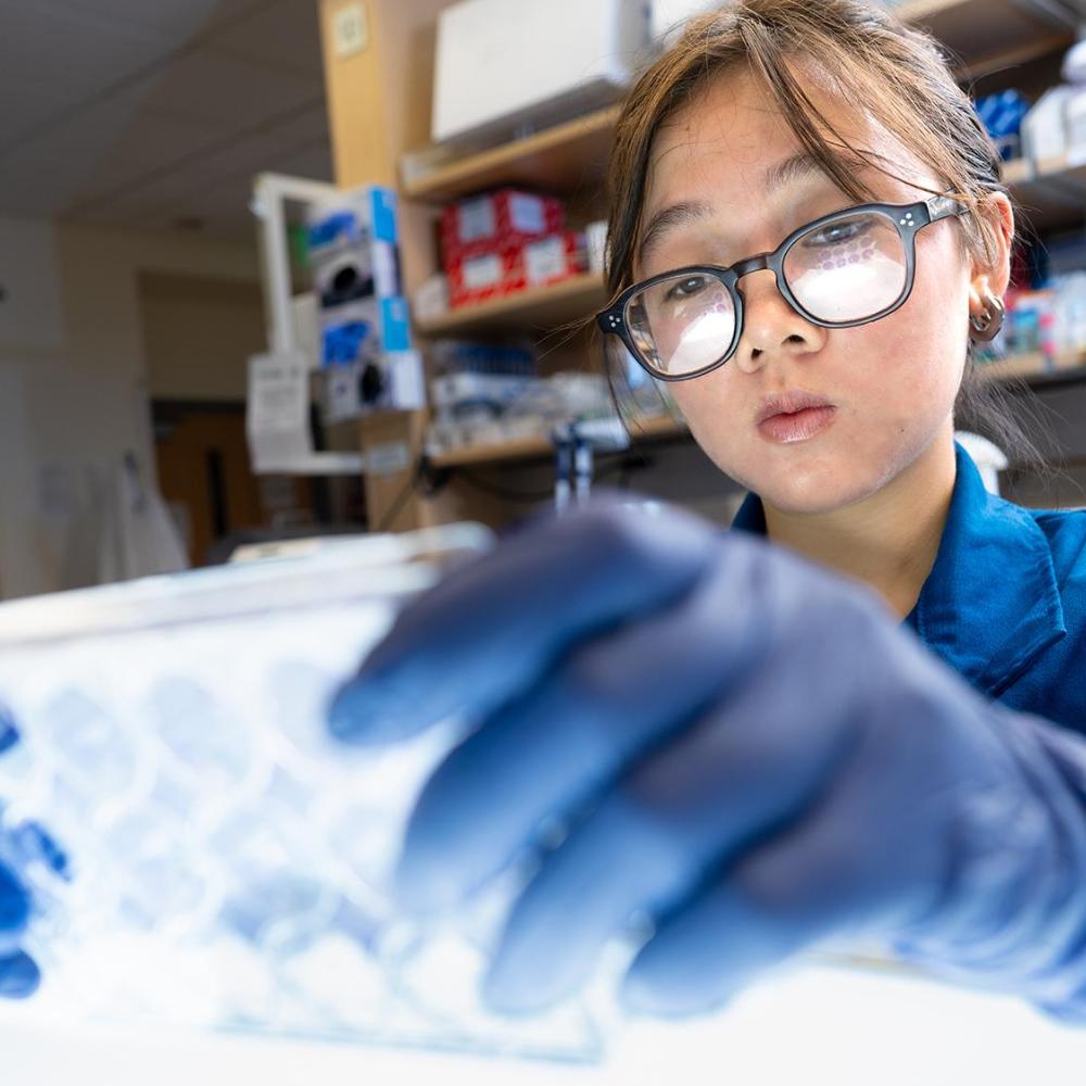 College of Biological Sciences
