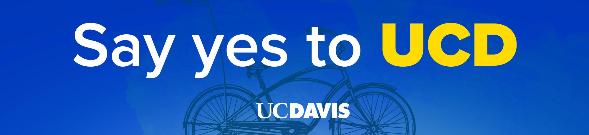 Say yes to UCD